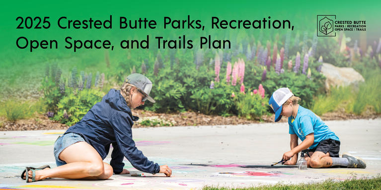 chalk art with lupine in background